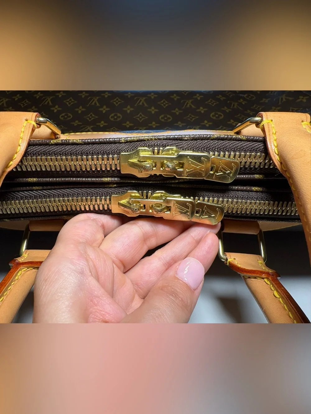 Vintage Louis Vuitton Monogram Alizé